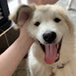 Meet your Posher, Jess